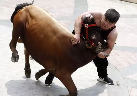 Chinezii se luptă cu taurii cu mâinile goale
