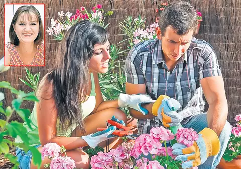 Atac la plantele tale! Cum le salvezi de dăunătorii care le năpădesc vara