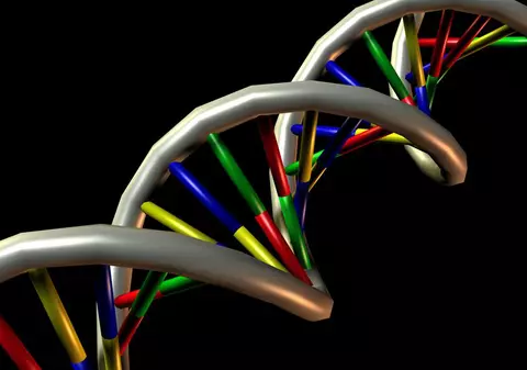 Mereu auzi de ADN! Dar știi ce înseamnă asta?