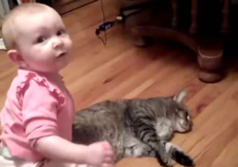 Un bebe şi pisica lui AU ÎNDUIOŞAT internetul! Uite ce îndură mâţa, de dragul copilașului | VIDEO