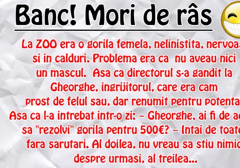 BANC: La ZOO... 