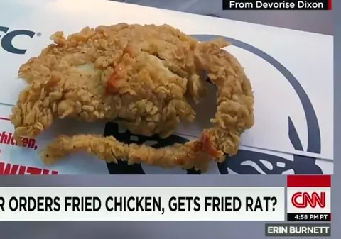 SCANDAL la FAST FOOD! Nu era pui, ci UN ȘOBOLAN PRĂJIT! | VIDEO