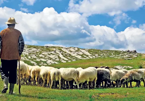 Stăpânul de sclavi din Tulcea, la judecată