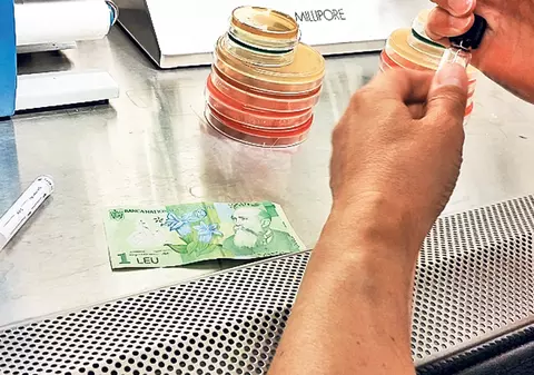 Spălaţi mâinile, nu banii! Nu mai puţin de 3.000 de microbi stau lipiţi de bancnota de un leu