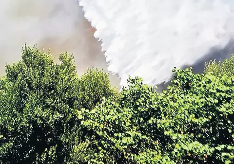 Proba de foc | Grecii se confruntă cu noi probleme: incendii de vegetaţie