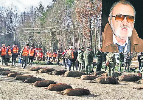 Se mută vânătoarea milionarilor de la Balc?