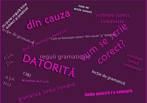 Cum se foloseşte corect "din cauza" şi "datorită"? Intră în articol pentru o scurtă lecţie de gramatică.