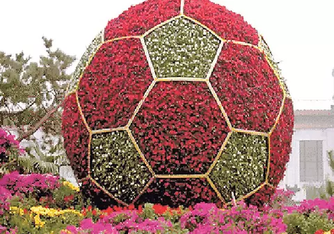 Nu o să-ţi vină să crezi ce mai fură hoţii la Tecuci!