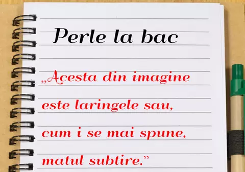 Cele mai haioase perle de la Bacalaureat
