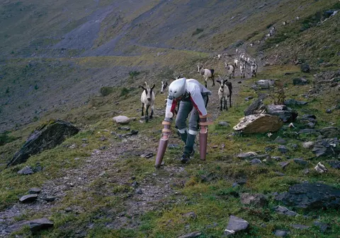 Experiment bizar. Un bărbat a trăit 3 zile ca o capră, într-o turmă: "Cel mai greu mi-a fost să..."