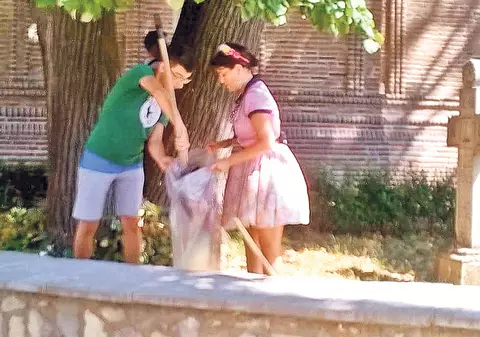 EXCLUSIV | Rona Hartner, la coada măturii