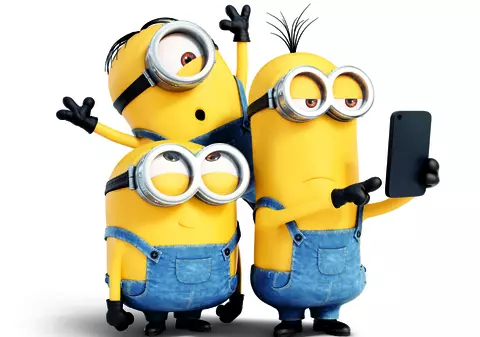 Trafic de cocaină cu ajutorul unor minioni de pluș. Vezi unde s-a întâmplat asta!