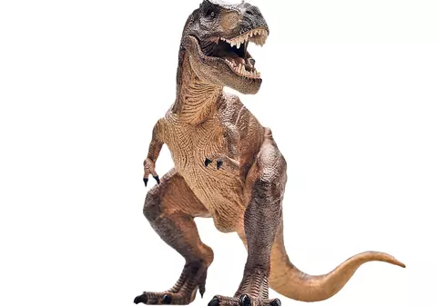 I-au scos un dinozaur din vagin