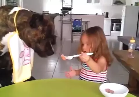 Clipul care TE VA ÎNDUIOȘA! Cum își hrănește o fetiță cățelul | VIDEO