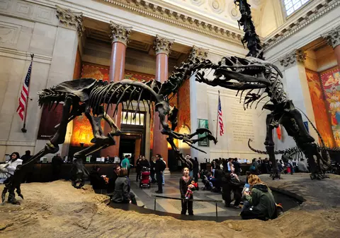 O nouă specie de dinozaur a fost identificată la aproape 80 de ani de la descoperirea sa