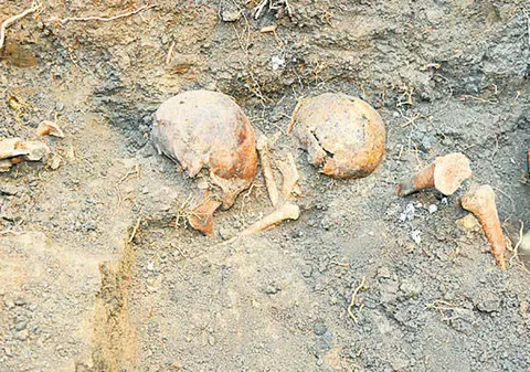 Au găsit oase în loc de comori