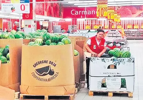 Cei mai buni pepeni româneşti cresc... peste graniţă!