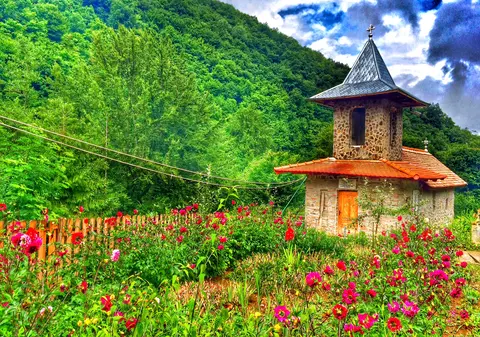 Un brazilian ne face patriotismul KO: ”În timp ce românii visează să plece, eu visez că mă voi reîntoarce cândva”