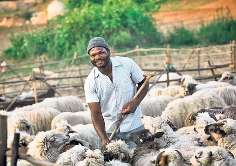 Maramureşul are primul cioban de culoare