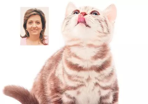 Simandicoasă la mâncare? Iată cum îţi faci pisica «să spele» farfuria