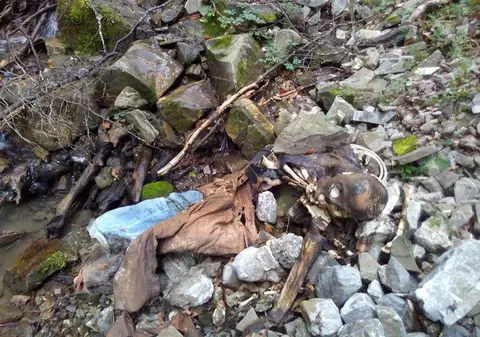 Descoperire macabră în Munții Baiului! Abia și-au dat seama ce au găsit!