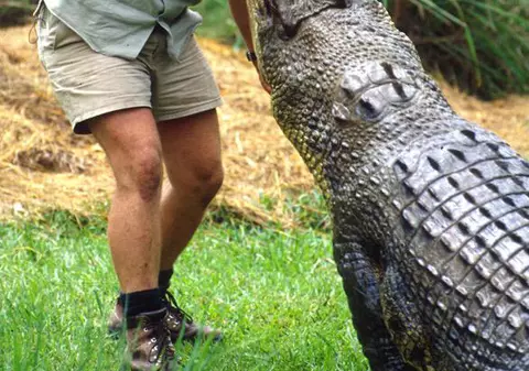 Ce frumoasă e fata "neînfricatului" Steve Irwin. Tânăra are 17 ani şi îi calcă pe urme regretatului ei tată