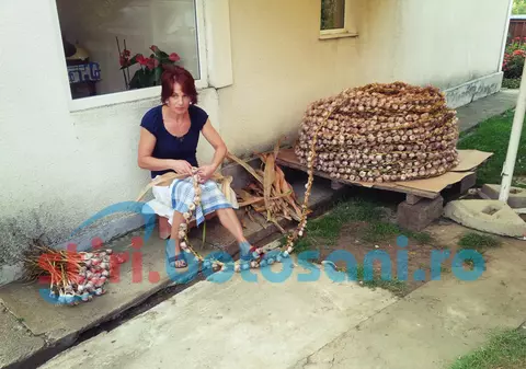 Câțiva botoșăneni au făcut o cunună gigantică, dar n-au avut bani pentru Cartea Recordurilor! Ce sumă li s-a cerut