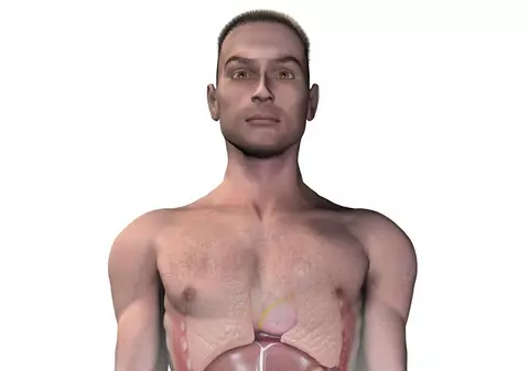 Alimentul care îţi distruge ficatul mai tare decât alcoolul. Și tu îl consumi!