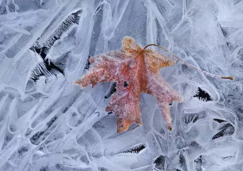 PROGNOZA METEO PE TREI LUNI | Când vor fi primele ninsori