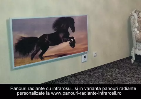 (P) Panouri Radiante. Trei spatii pe care le putem incalzi eficient cu panouri radiante
