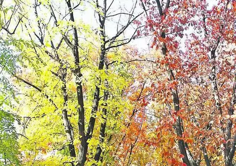 PROGNOZA METEO | Când scăpăm de ploi și cum va fi vremea în următoarele zile