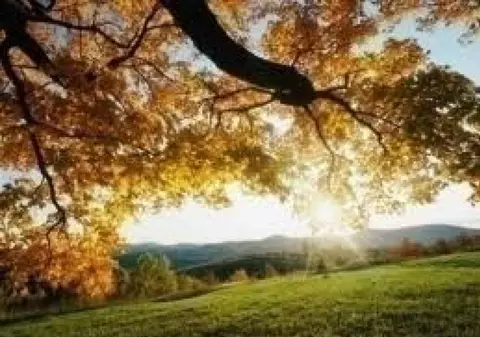 Prognoza meteo. Cum va fi vremea în următoarele două săptămâni