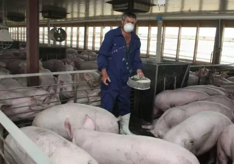 Vești bune pentru fermieri! Se reînființează CAP-urile! 