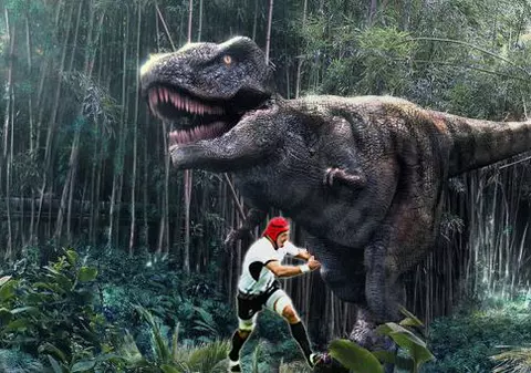 International Rugby Board îi elogiază pe "stejari": "Credem că Macovei poate să placheze aproape orice"