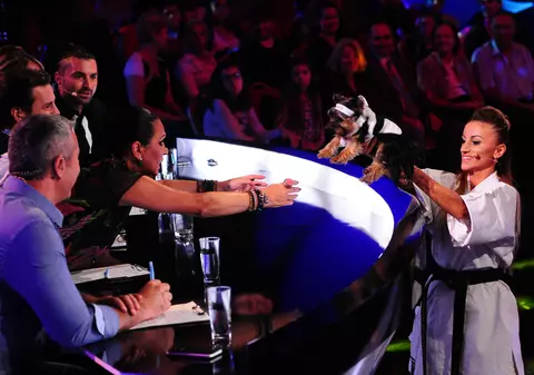 Vezi în premieră animalele care i-au dat gata pe jurații de la Ham Talent! Foto 