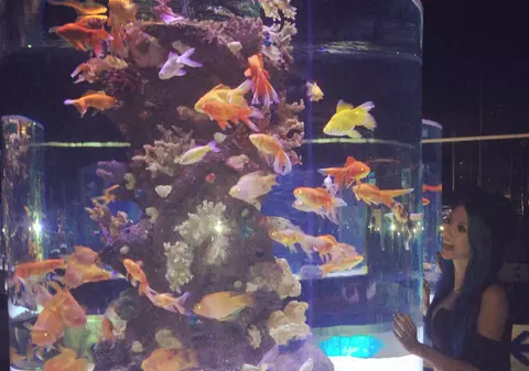 Andreea Bălan ”s-a lipit” de peștii din Turcia! Foto