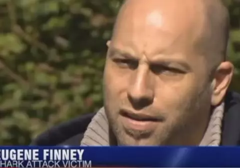 Un rechin care l-a atacat i-a salvat, în mod paradoxal, viața unui american | VIDEO