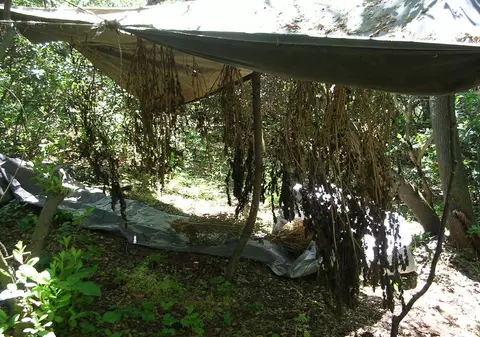 Un fel de «Breaking Bad», în variantă românească, într-un sat de lângă Iași! Profu’ de mate vindea canabis în Belgia