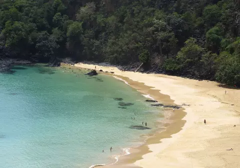 Uimitor! Ce s-a descoperit pe o plajă din SUA