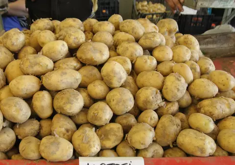 Cartofi mai mici și mai scumpi! «Mâncarea săracului» va costa dublu față de anul trecut