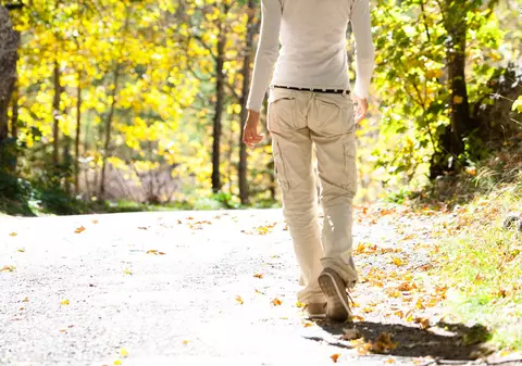 Cum ne influențează starea copacii pe lângă care trecem