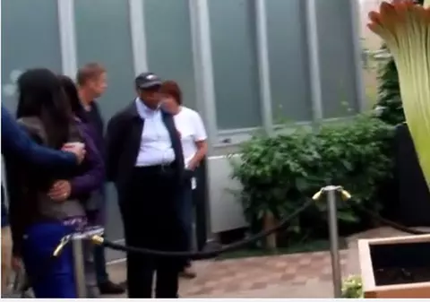 Mii de persoane au stat la coadă pentru a simți mirosul de cadavru în putrefacție |VIDEO