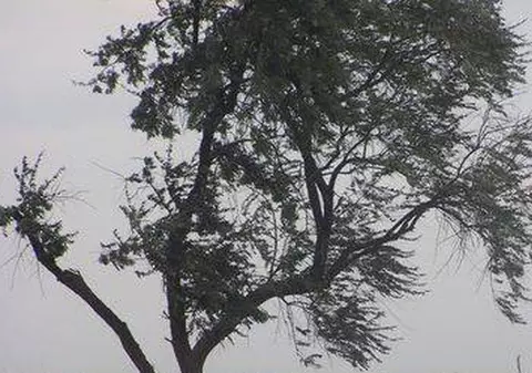 UPDATE | AVERTIZARE NOWCASTING: COD GALBEN de FURTUNĂ