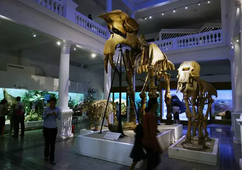 Halloween-ul pentru copii, la "Antipa"