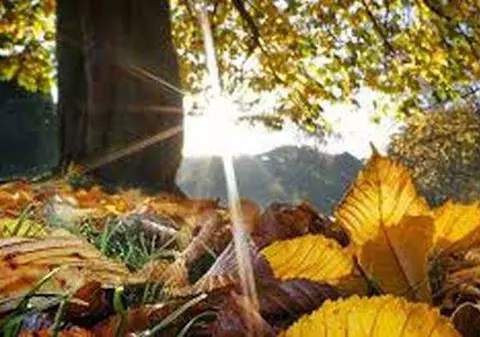 PROGNOZA METEO pentru toată săptămâna! Ce temperaturi vom avea zilele viitoare!