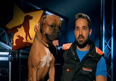 De necrezut! Tudy a participat la un concurs de talente cu un câine furat de la fosta iubită