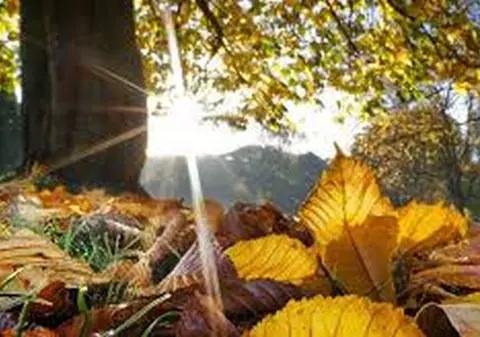 Prognoza meteo. Săptămâna începe cu temperaturi de aproape 20 de grade