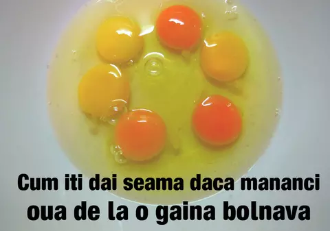 Cum îți dai seama dacă ouăle cumpărate sunt de la o găină bolnavă