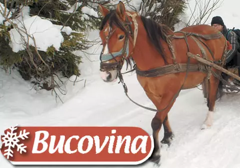 EFECTELE situaţiei tensionate din vestul Europei: turismul românesc a redevenit atractiv