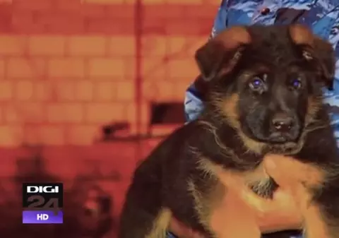 Rusia trimite Franței cel mai neașteptat și mai drăgălaș cadou, după atentatele de la Paris